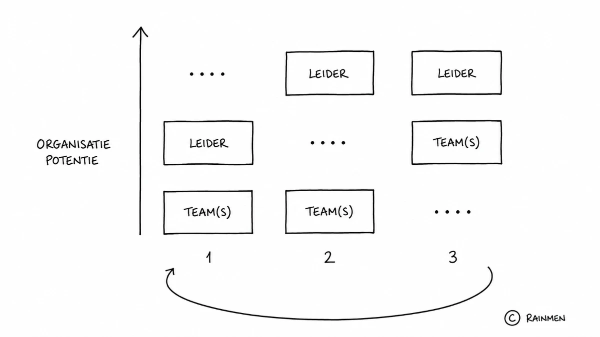 Organisatie potentie model Organisatie potentie model